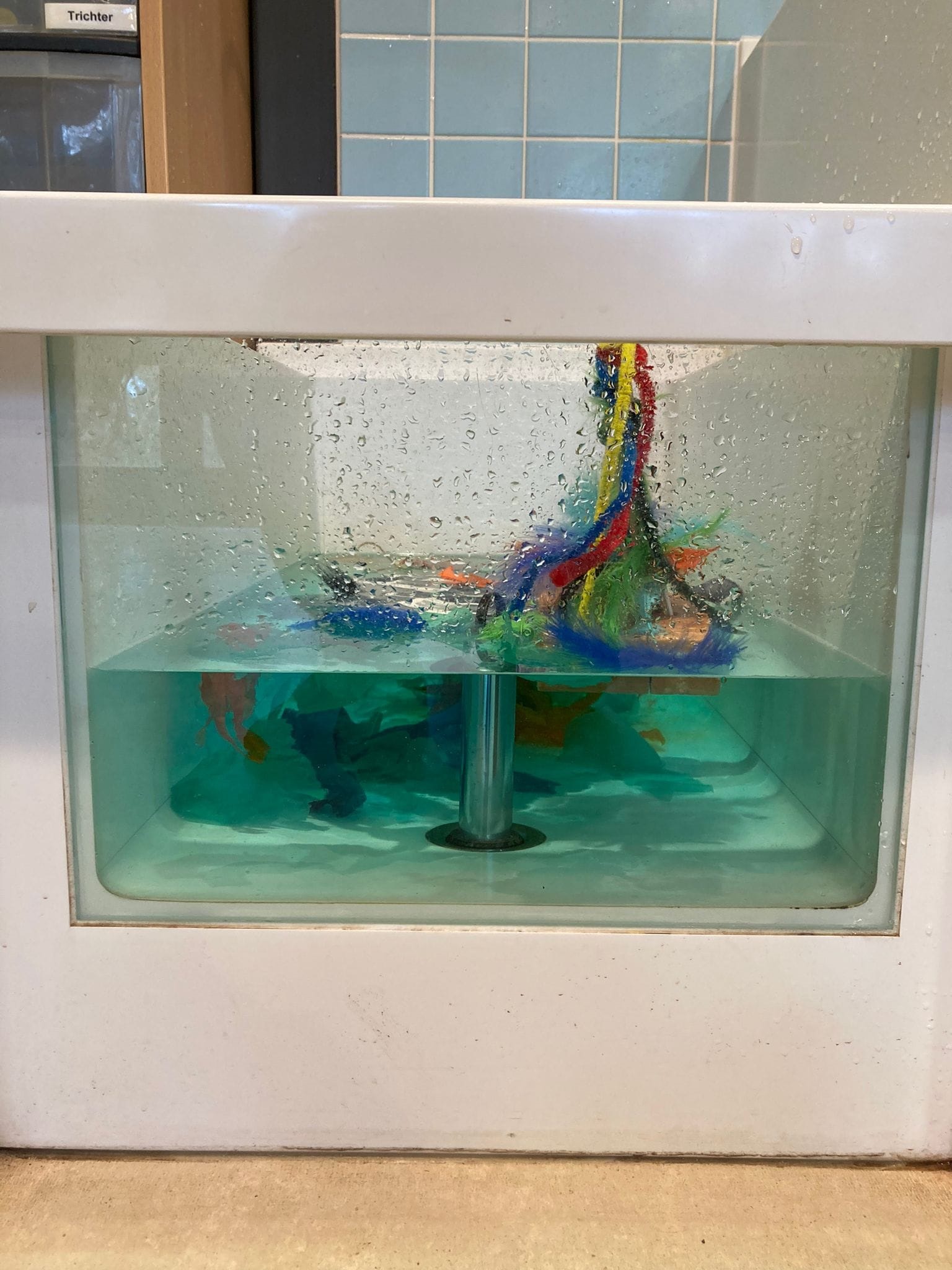 Foto Forscherwelt Blossin